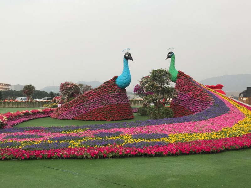 云南錦苑花卉——花展園藝美陳設計